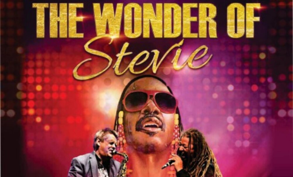 The Wonder of Stevie