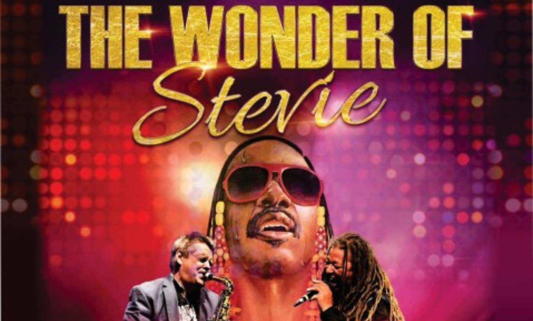 The Wonder of Stevie